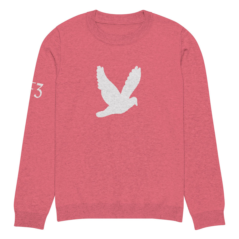 Thumbnail: YF3 YHWH FOREVER Dove Logo Hot Pink Knitted crew neck sweater