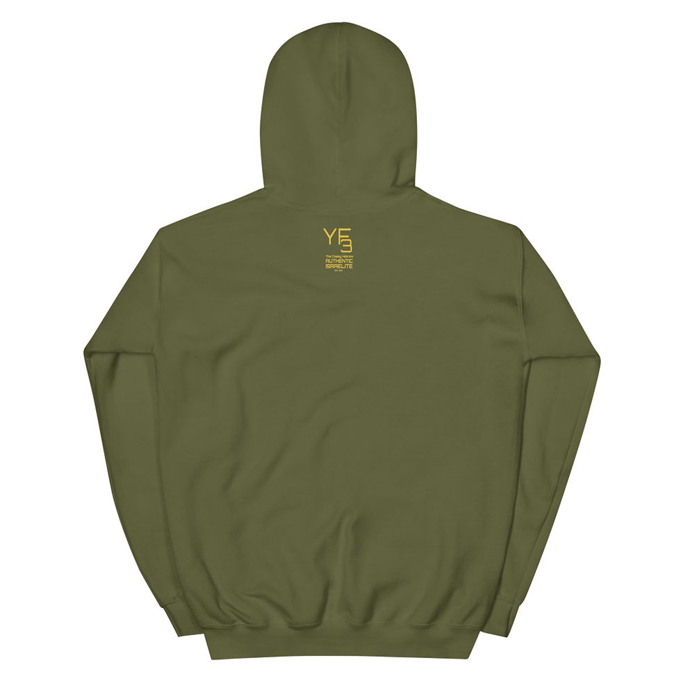 Thumbnail: YF3 144 Karat Israelite Unisex Hoodie