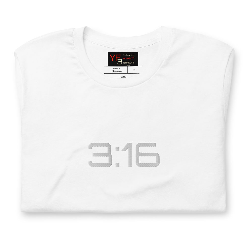 Thumbnail: YF3 3:16 Embroidered Unisex t-shirt