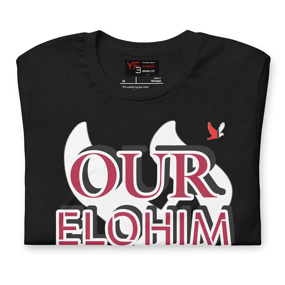 Thumbnail: YF3 Our ELOHIM Reigns Unisex t-shirt