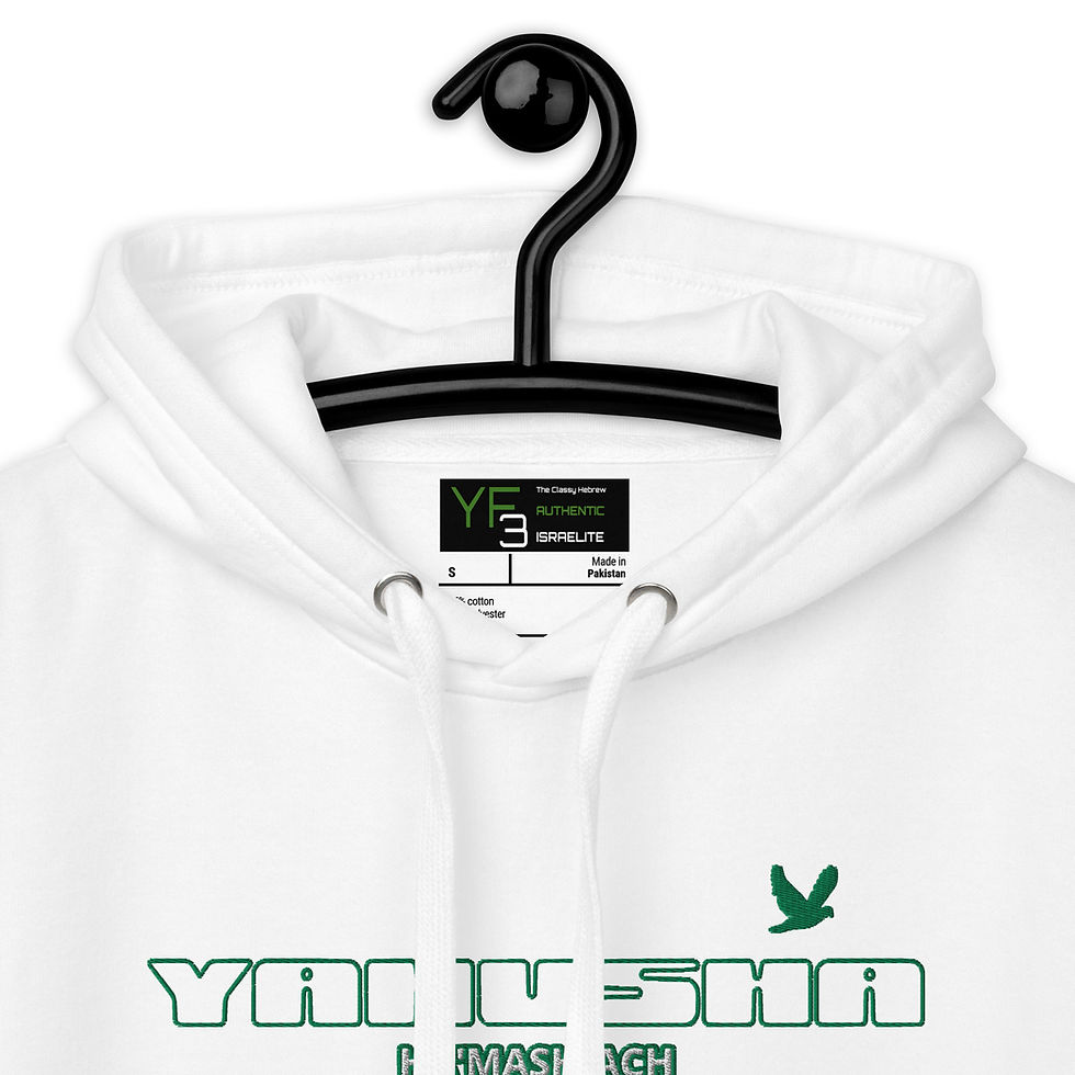 Thumbnail: YF3 The Classy Hebrew YAHUSHA HAMASHIACH Embroidered Unisex Hoodie