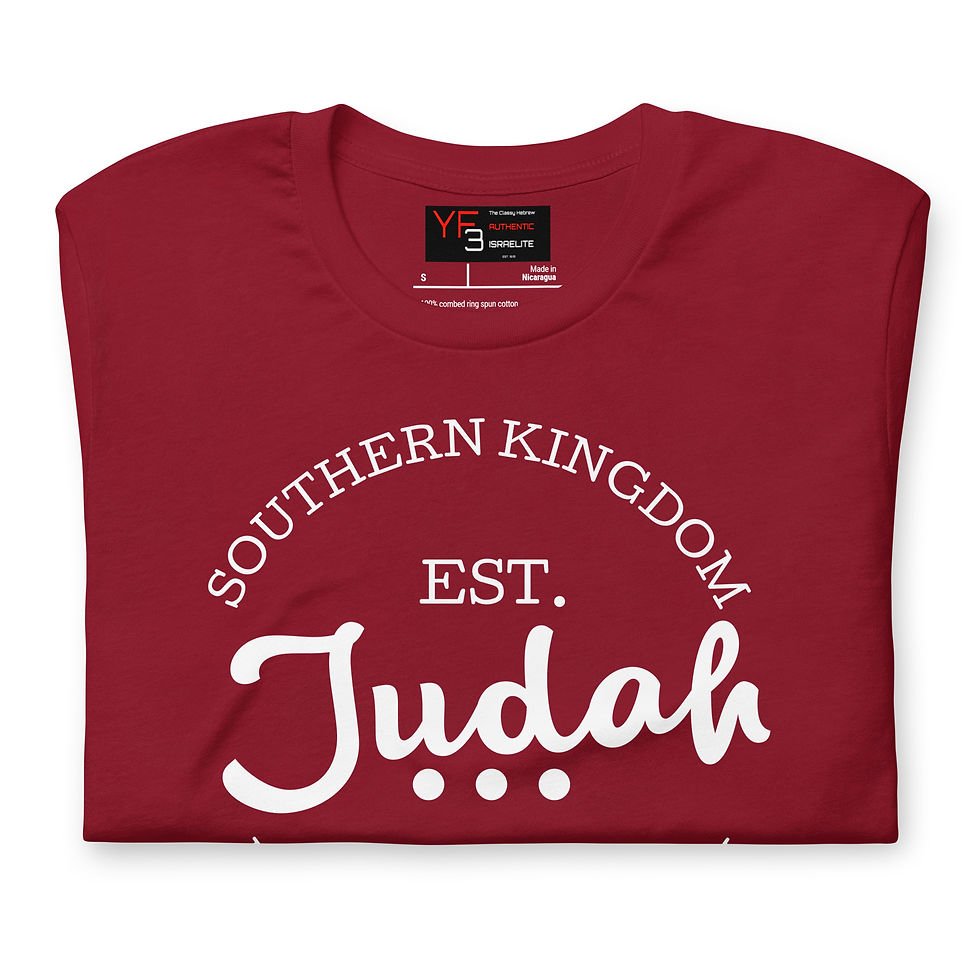 Thumbnail: YF3 The Classy Hebrew JUDAH SOUTHERN KINGDOM Unisex t-shirt