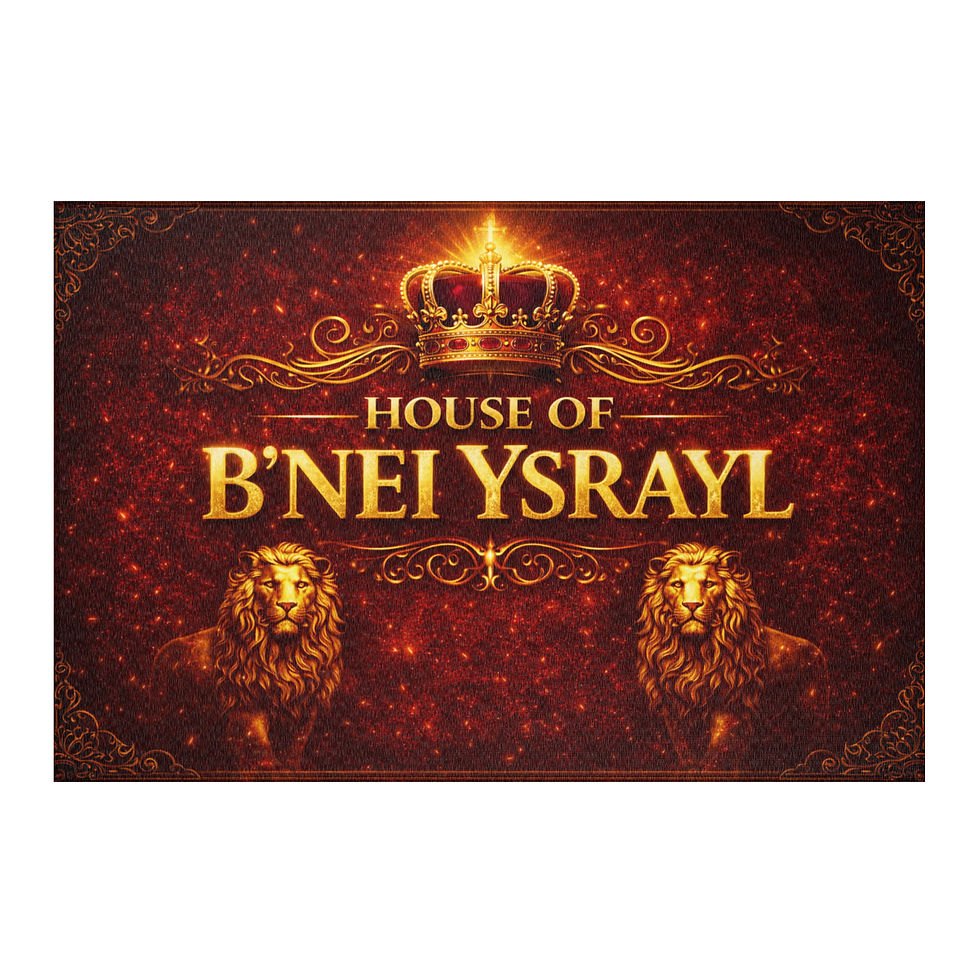 Thumbnail: House Of B'Nei Ysrayl Area rug