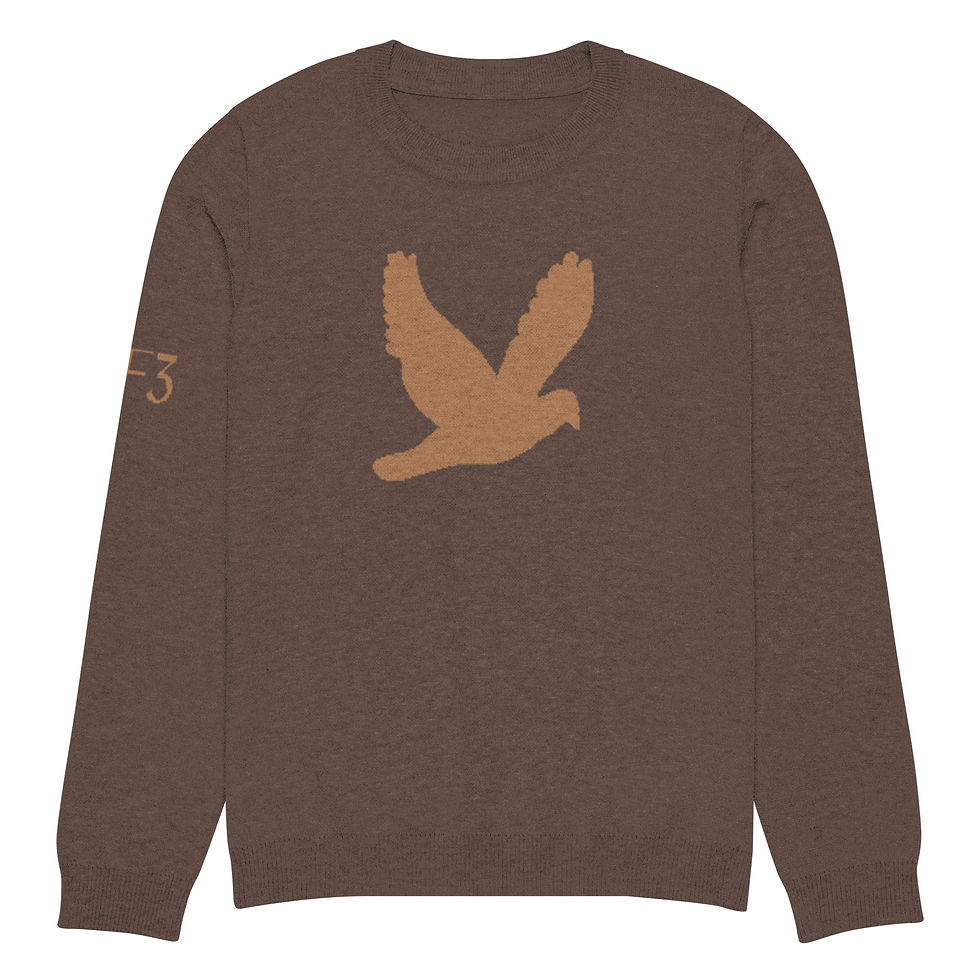 Thumbnail: YF3 YHWH FOREVER Dove Logo Soil Brown & Rust Knitted crew neck sweater