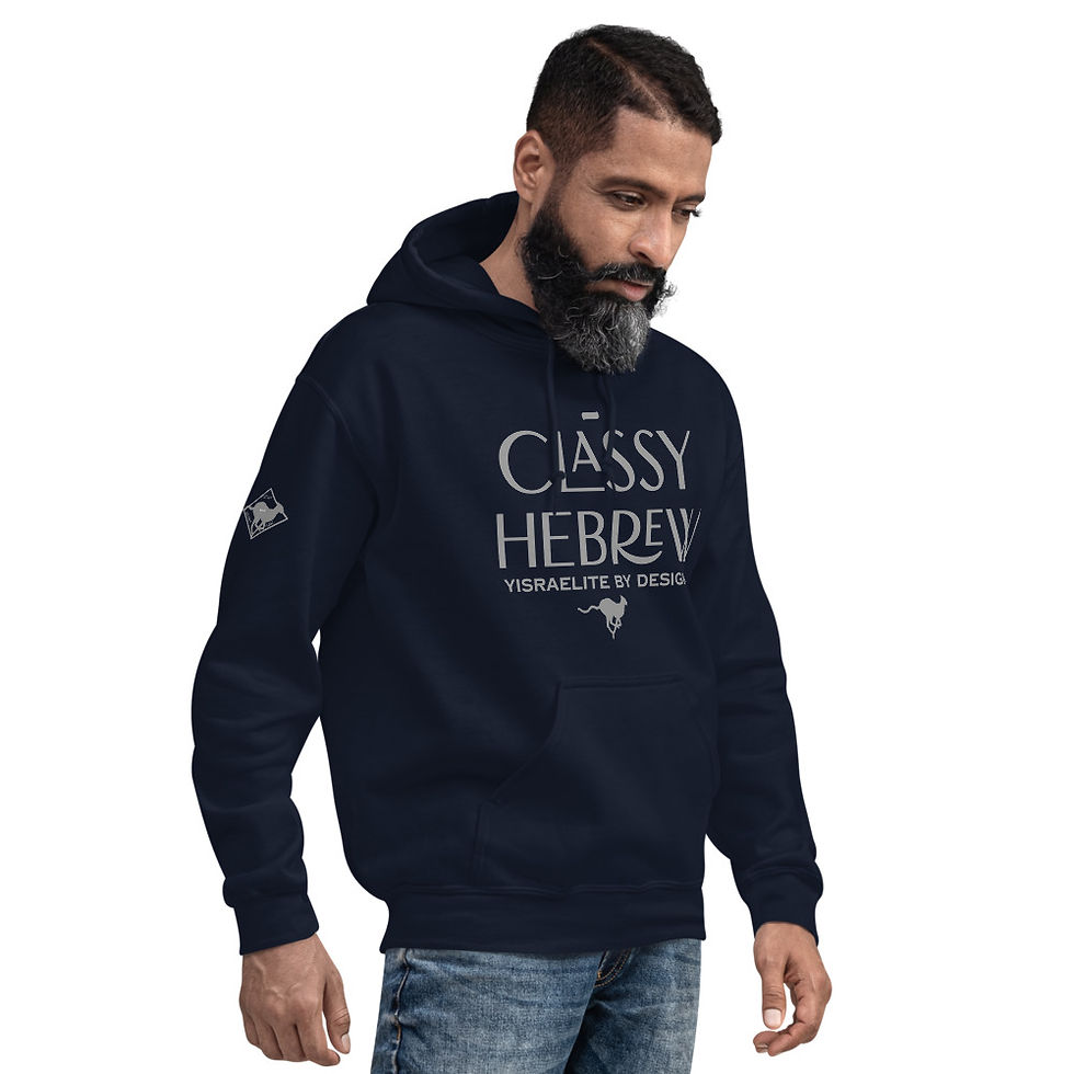 Thumbnail: YF3 The Classy Hebrew Yisraelite By Design Unisex Hoodie