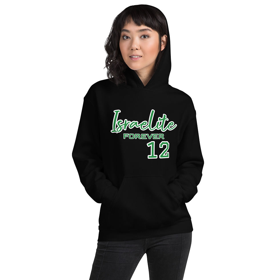 Thumbnail: YF3 The Classy Hebrew Israelite Forever 12 Unisex Hoodie