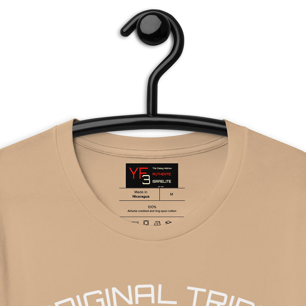 Thumbnail: YF3 The Classy Hebrew Original Tribe Unisex t-shirt
