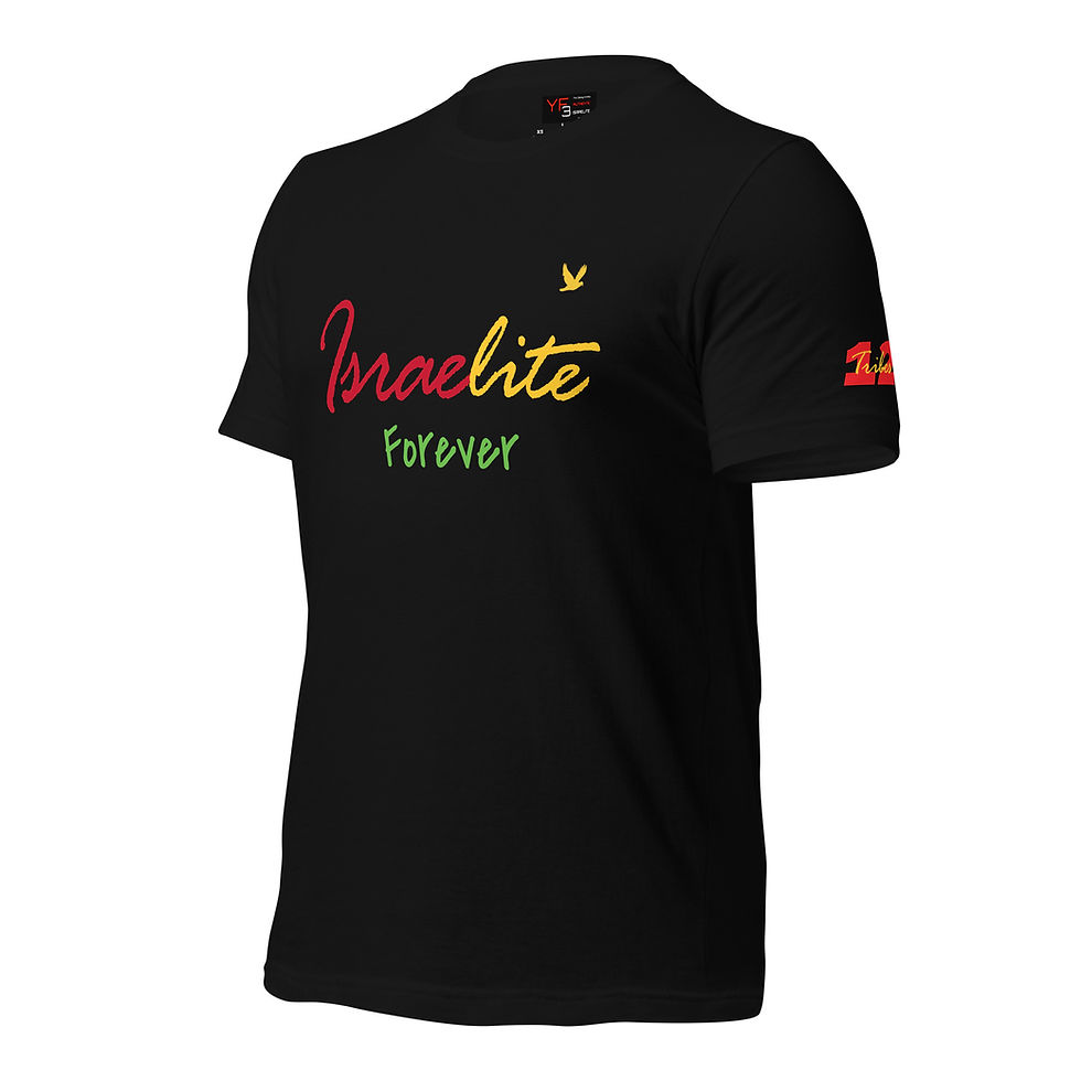 Thumbnail: YF3 The Classy Hebrew Israelite Forever Red, Yellow & Green Unisex t-shirt