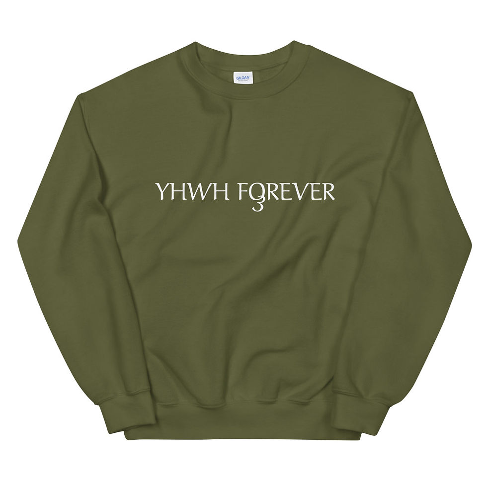 Thumbnail: YF3 YHWH FOREVER 3 Unisex Sweatshirt