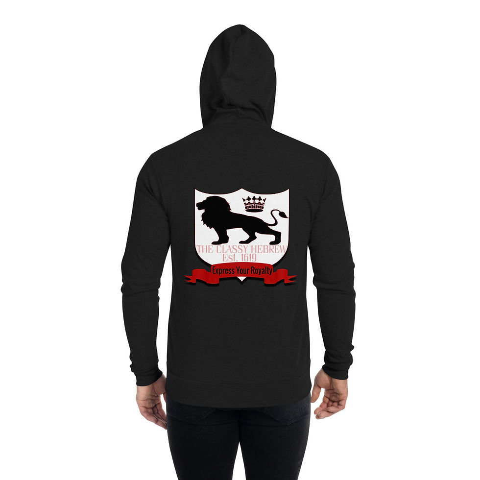 Thumbnail: The Classy Hebrew Unisex zip Logo hoodie