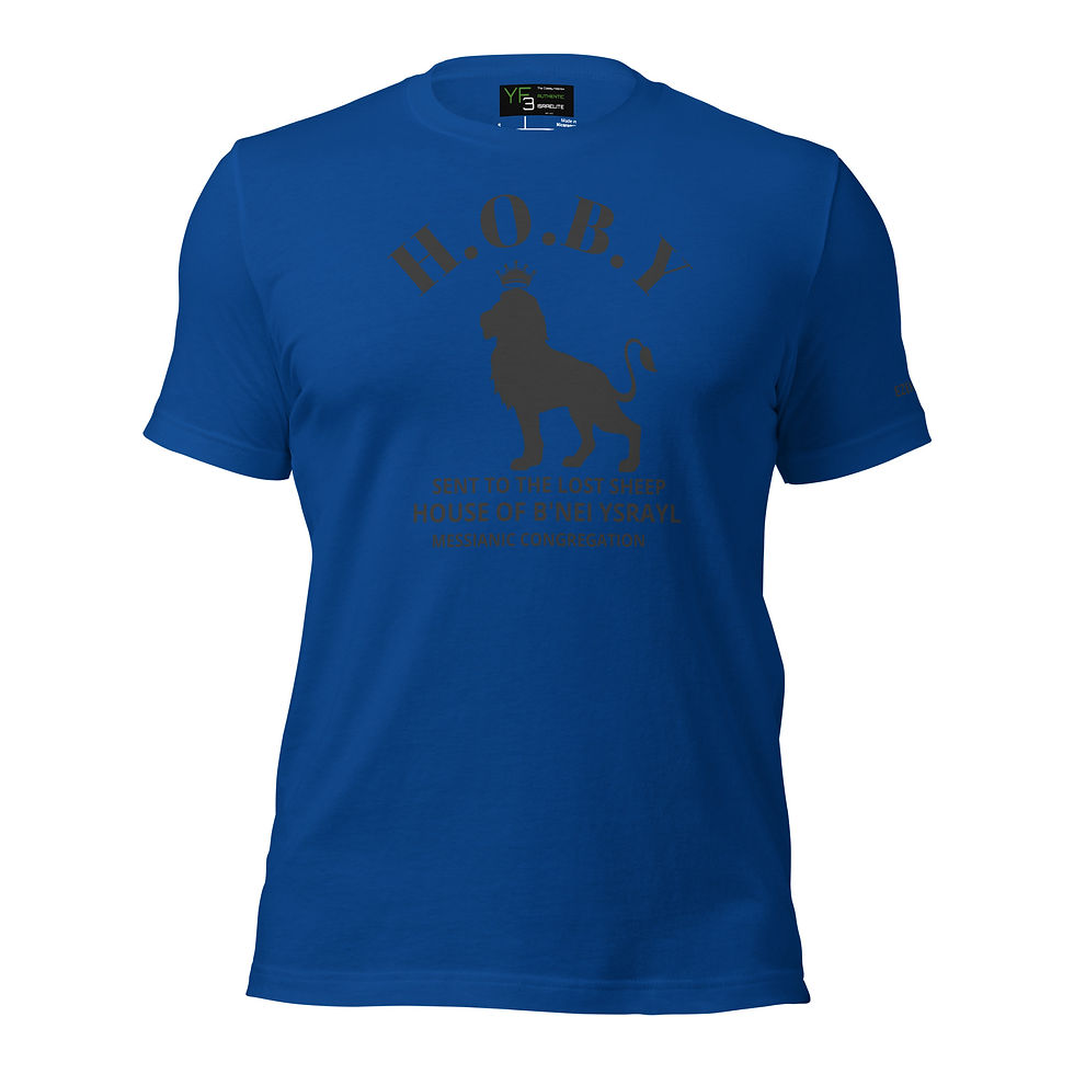 Thumbnail: The Classy Hebrew House Of B'Nei Ysrayl Unisex t-shirt