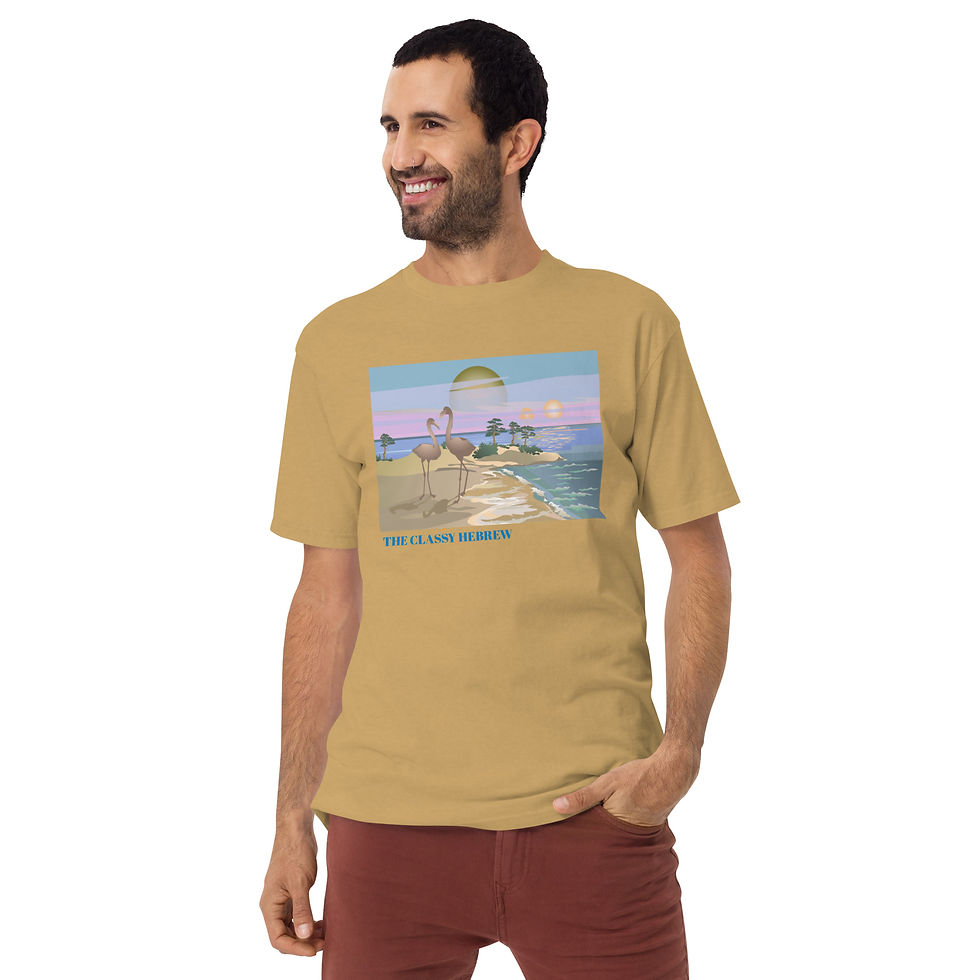 Thumbnail: YF3 The Classy Hebrew Men’s premium heavyweight tee