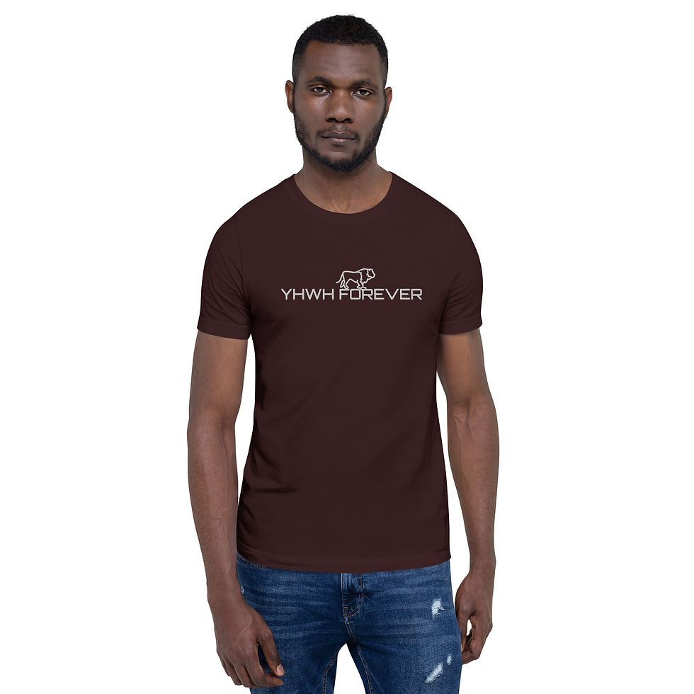 Thumbnail: YHWH FOREVER Embroidered Unisex t-shirt