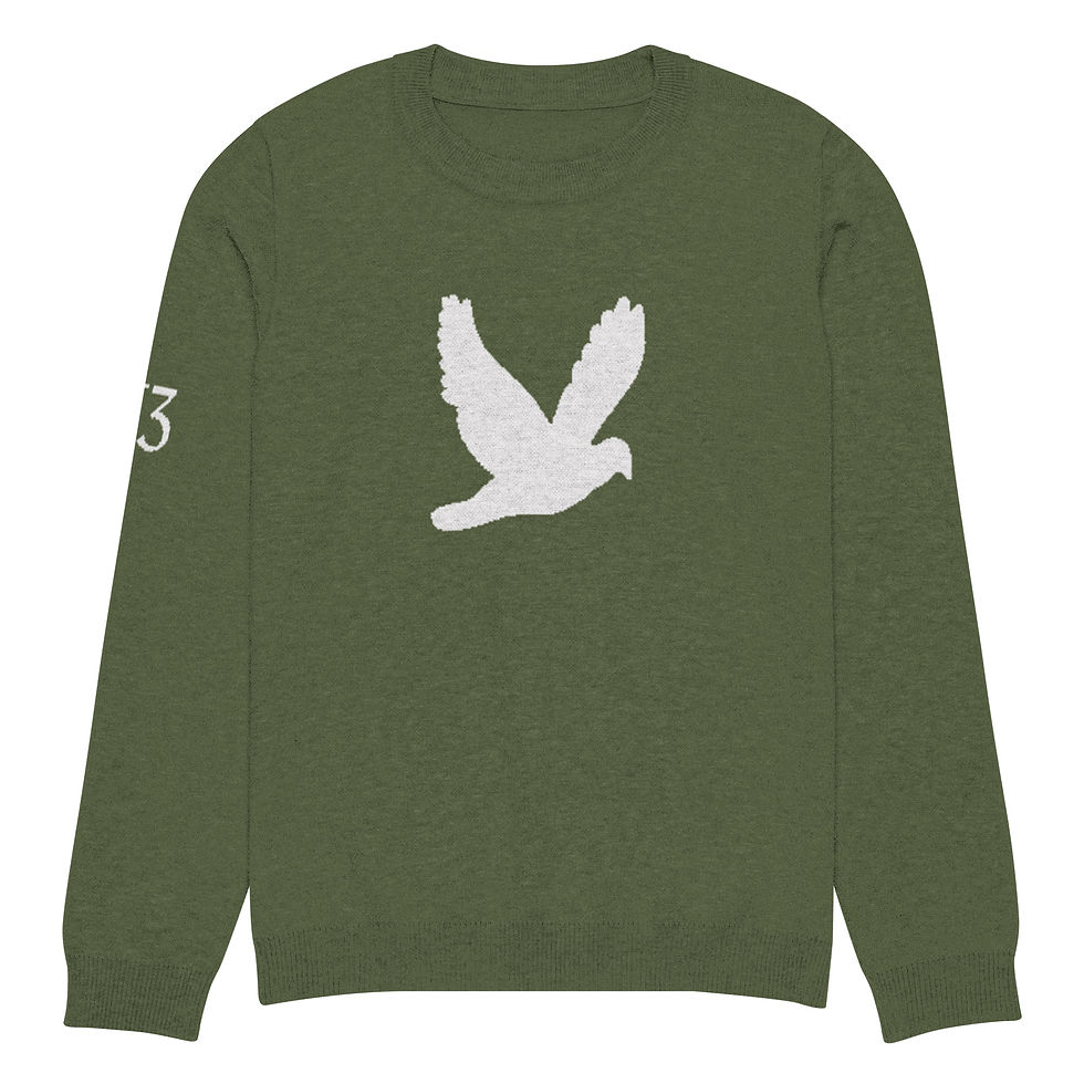 Thumbnail: YF3 YHWH FOREVER Dove Logo Olive Knitted crew neck sweater