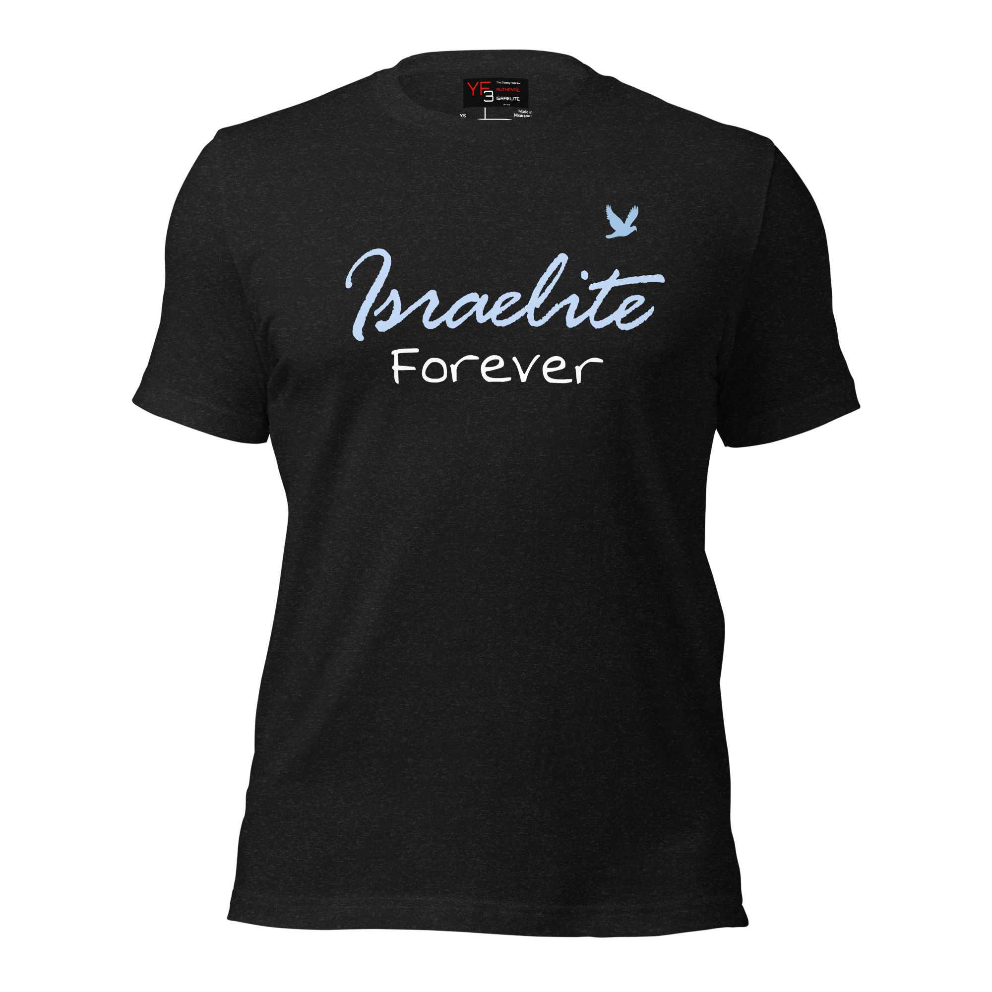 YF3 The Classy Hebrew Hawks Blue Israelite Forever Unisex t-shirt