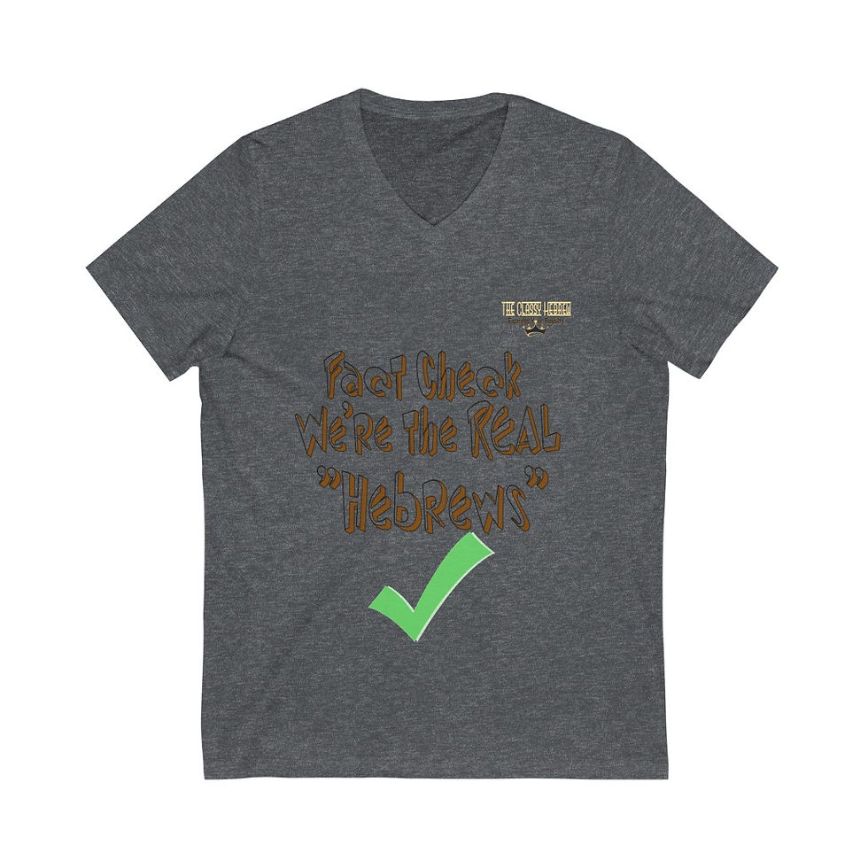 Thumbnail: The Classy Hebrew Fact Check Unisex Jersey Short Sleeve V-Neck Tee