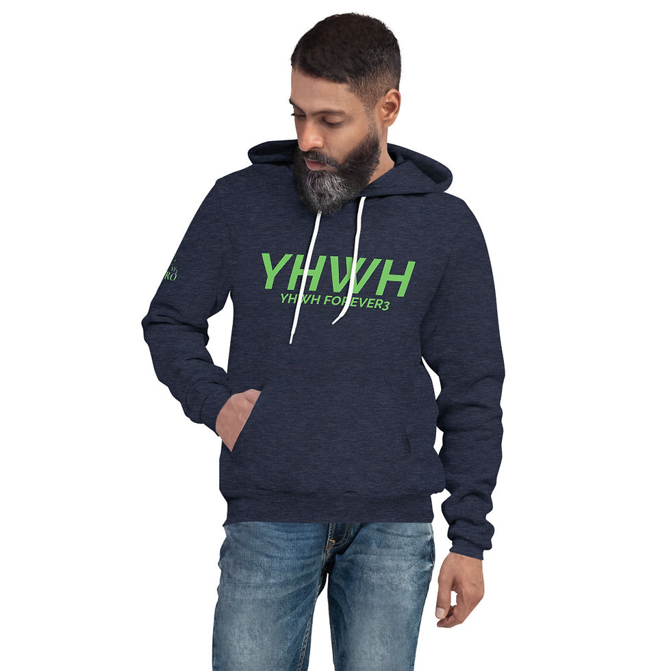 Thumbnail: YF3 YHWH FOREVER3 Pro Unisex hoodie