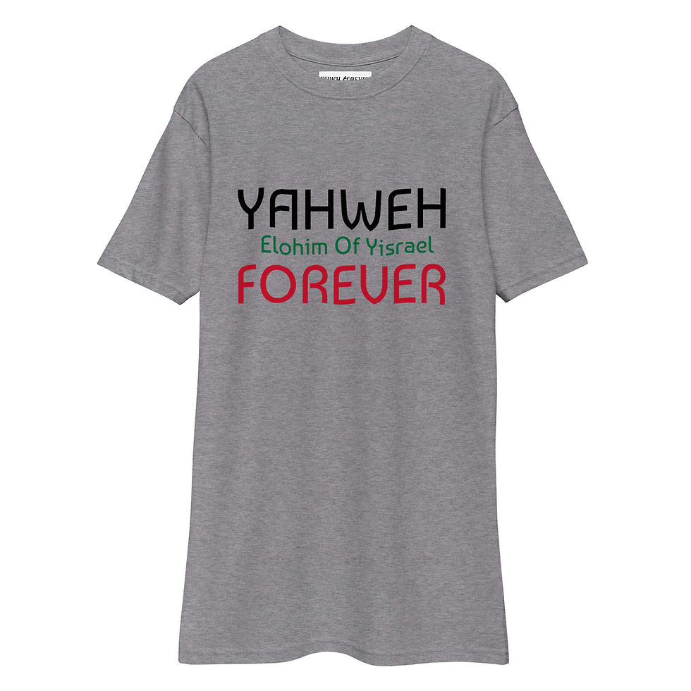 Thumbnail: YHWH FOREVER Elohim Of Yisrael Men’s premium heavyweight tee