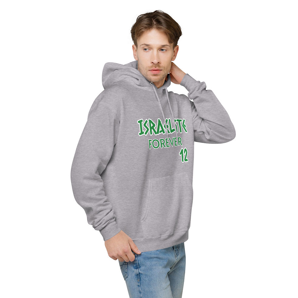 Thumbnail: YF3 The Classy Hebrew Israelite Forever Unisex fleece hoodie