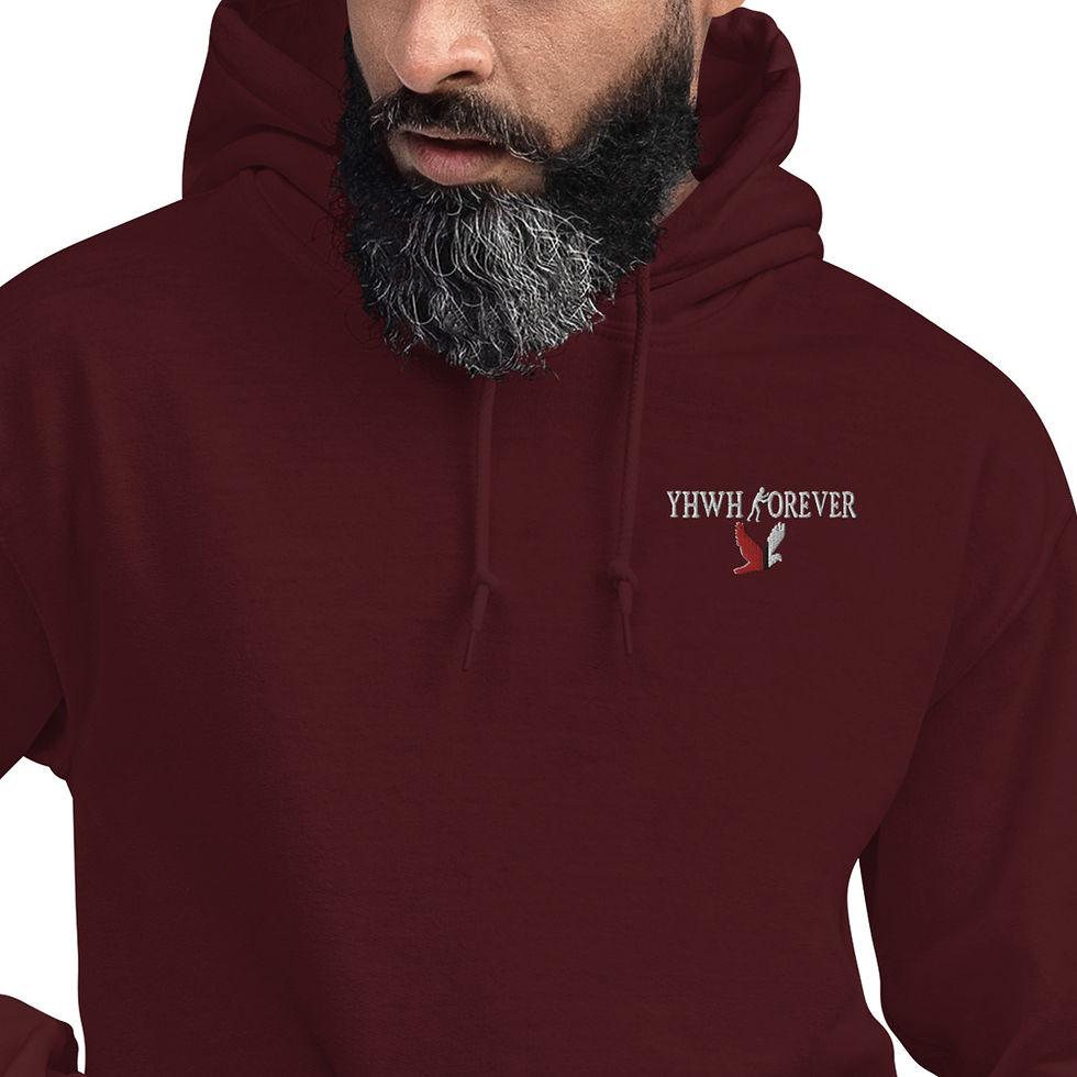 Thumbnail: YHWH FOREVER Logo Embroidered Unisex Hoodie