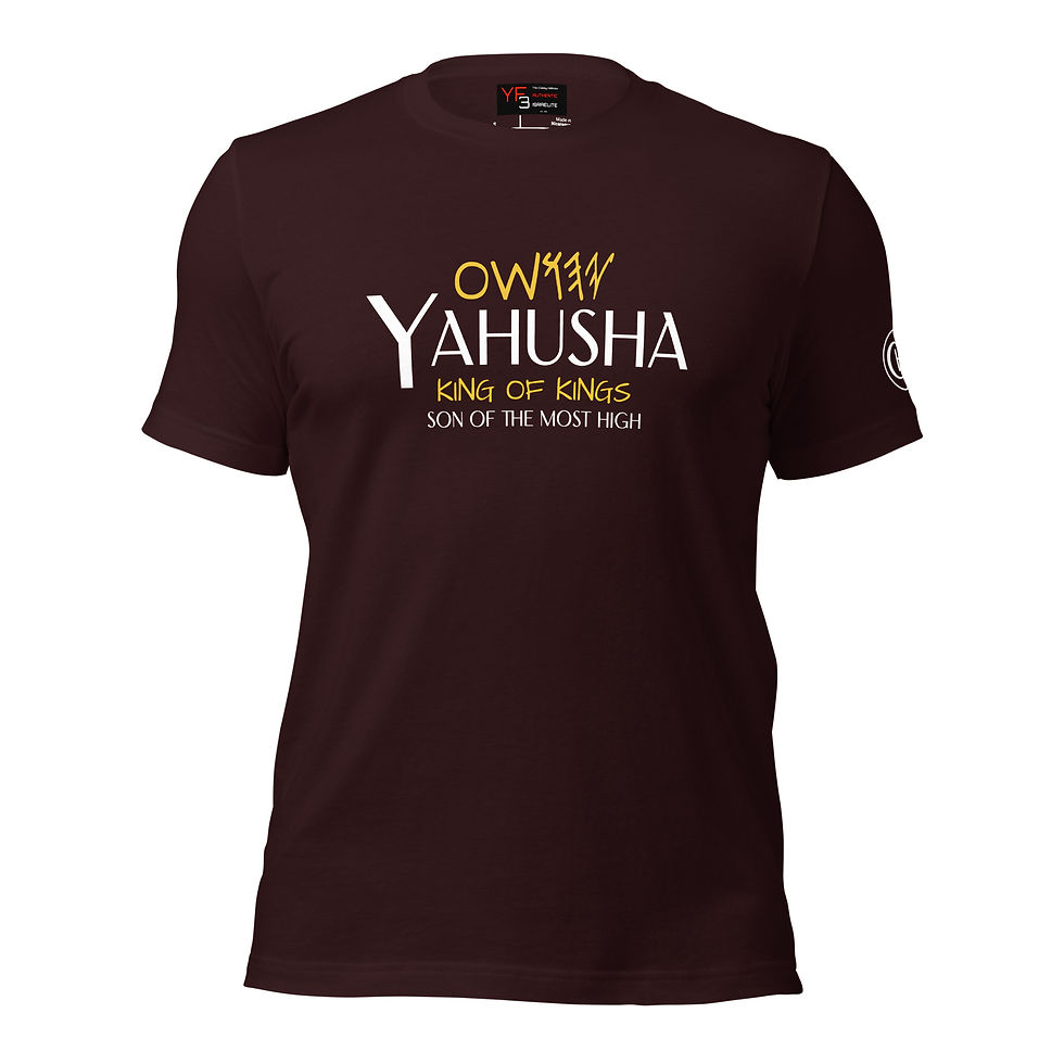 Thumbnail: YF3 The Classy Hebrew YAHUSHA KING OF KINGS Unisex t-shirt
