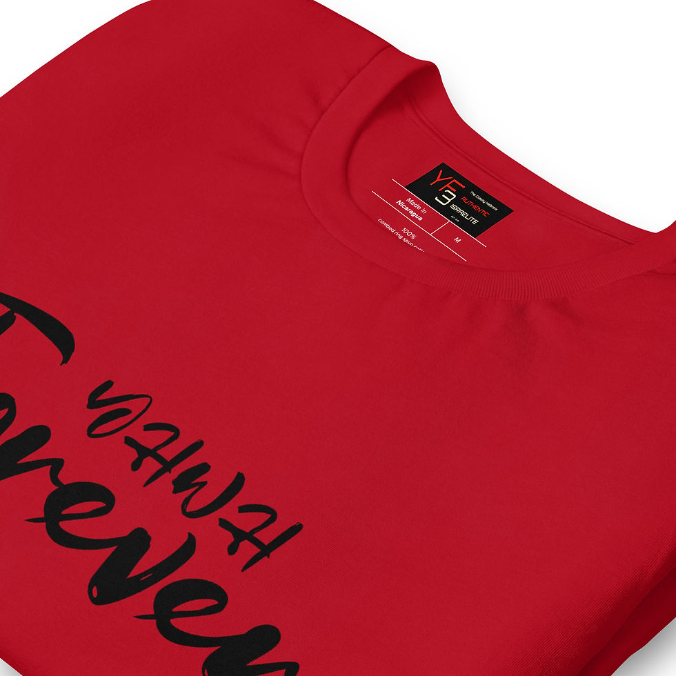 Thumbnail: YF3 YHWH FOREVER 3 Unisex t-shirt