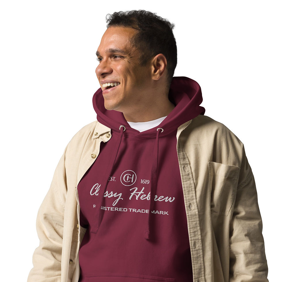 Thumbnail: YF3 The Classy Hebrew Embroidered Unisex Hoodie