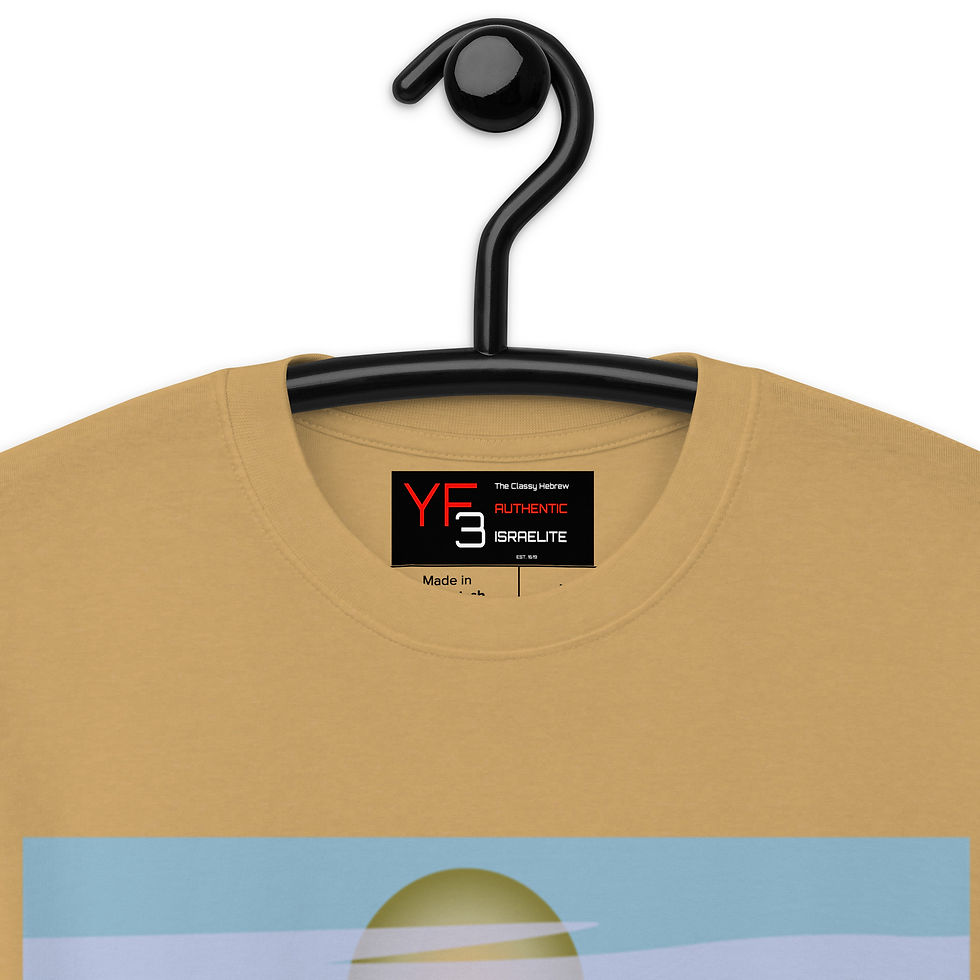 Thumbnail: YF3 The Classy Hebrew Men’s premium heavyweight tee