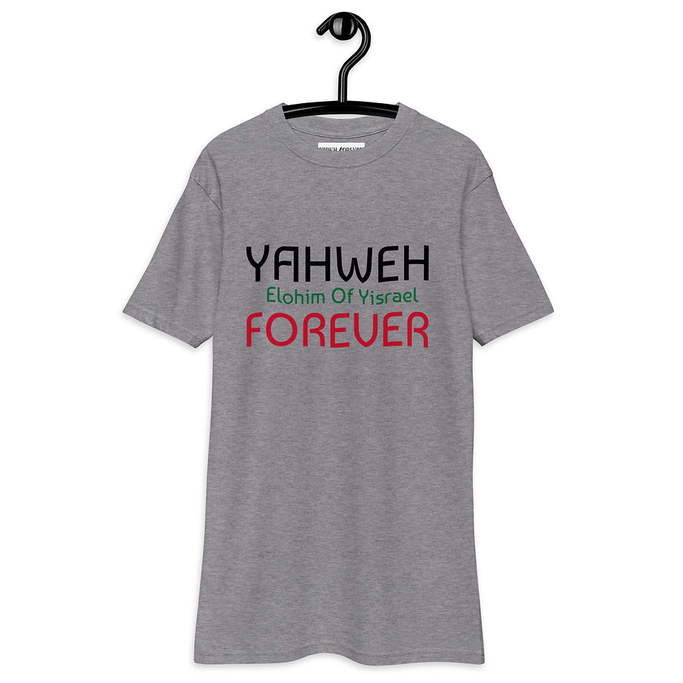 Thumbnail: YHWH FOREVER Elohim Of Yisrael Men’s premium heavyweight tee