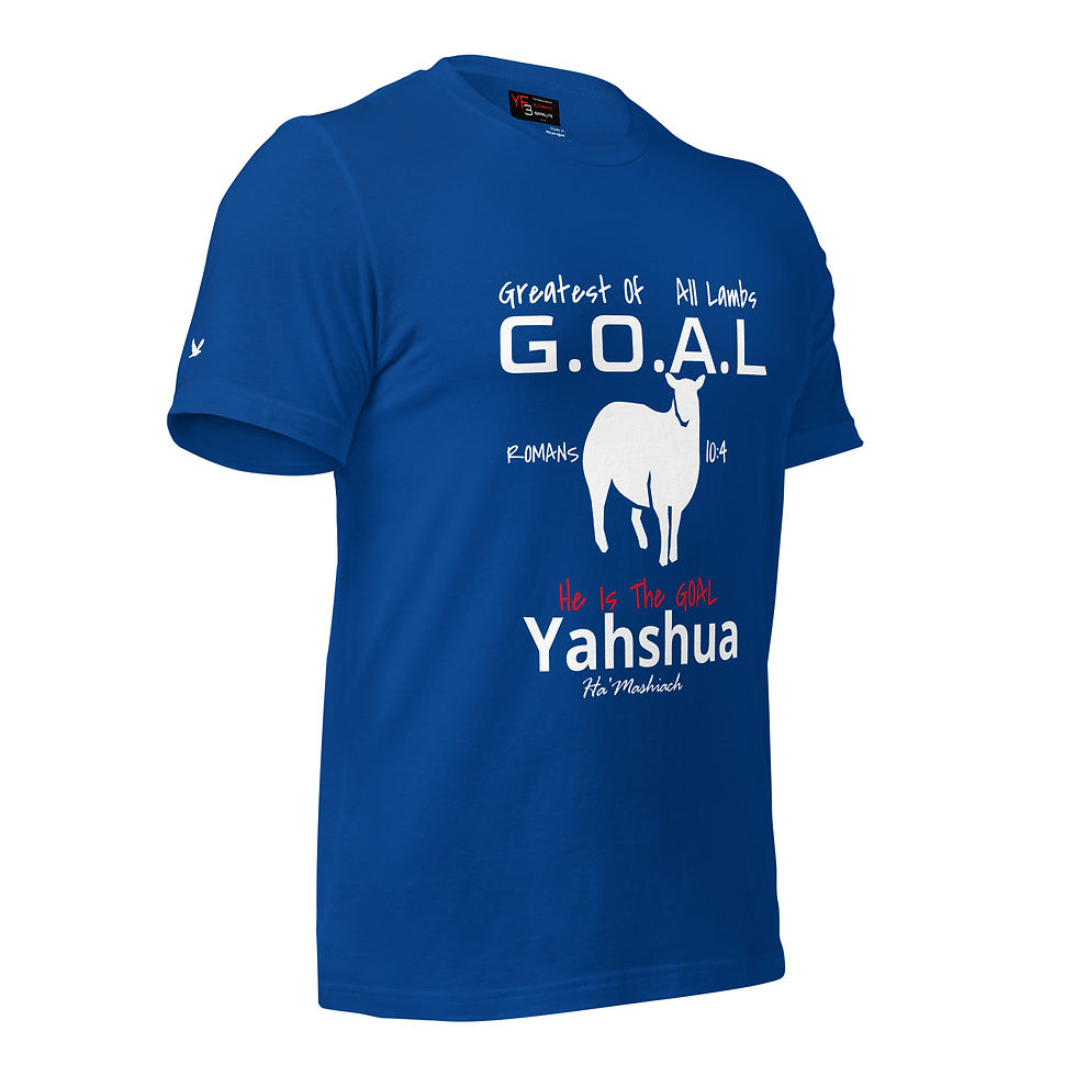 Thumbnail: YF3 The Classy Hebrew GOAL Romans 10:4 Yahshua Peace Unisex t-shirt