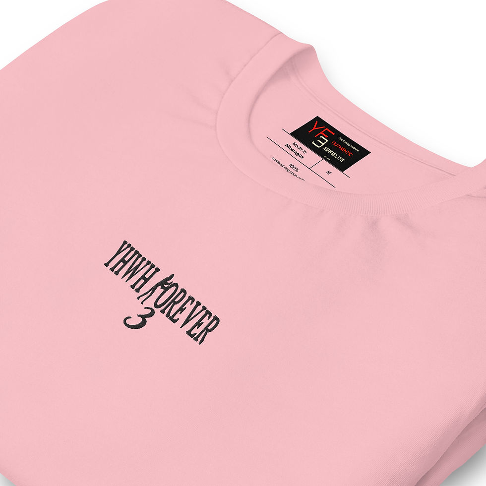 Thumbnail: YF3 YHWH FOREVER 3 Embroidered Unisex t-shirt