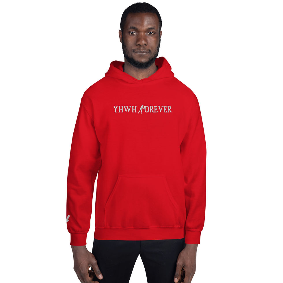 Thumbnail: YHWH FOREVER 3 Embroidered Logo Unisex Hoodie