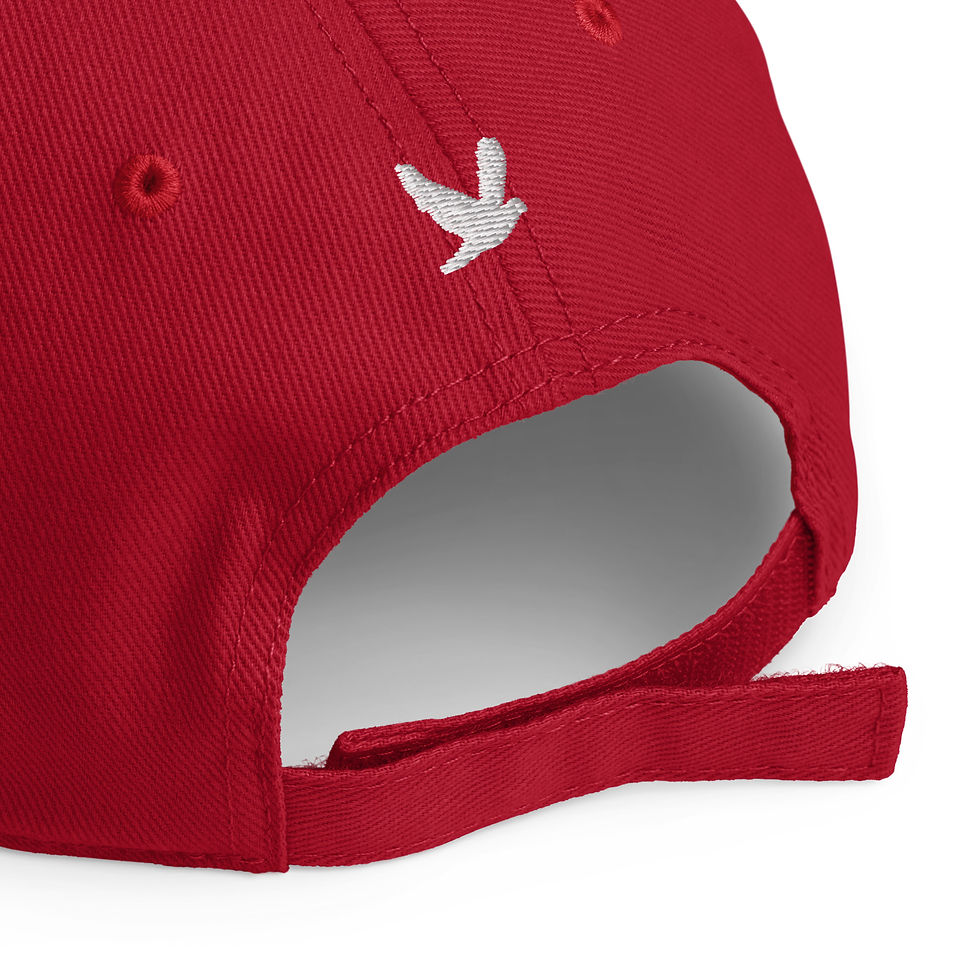 Thumbnail: YHWH FOREVER 3 365 Fear Not Low-profile baseball cap