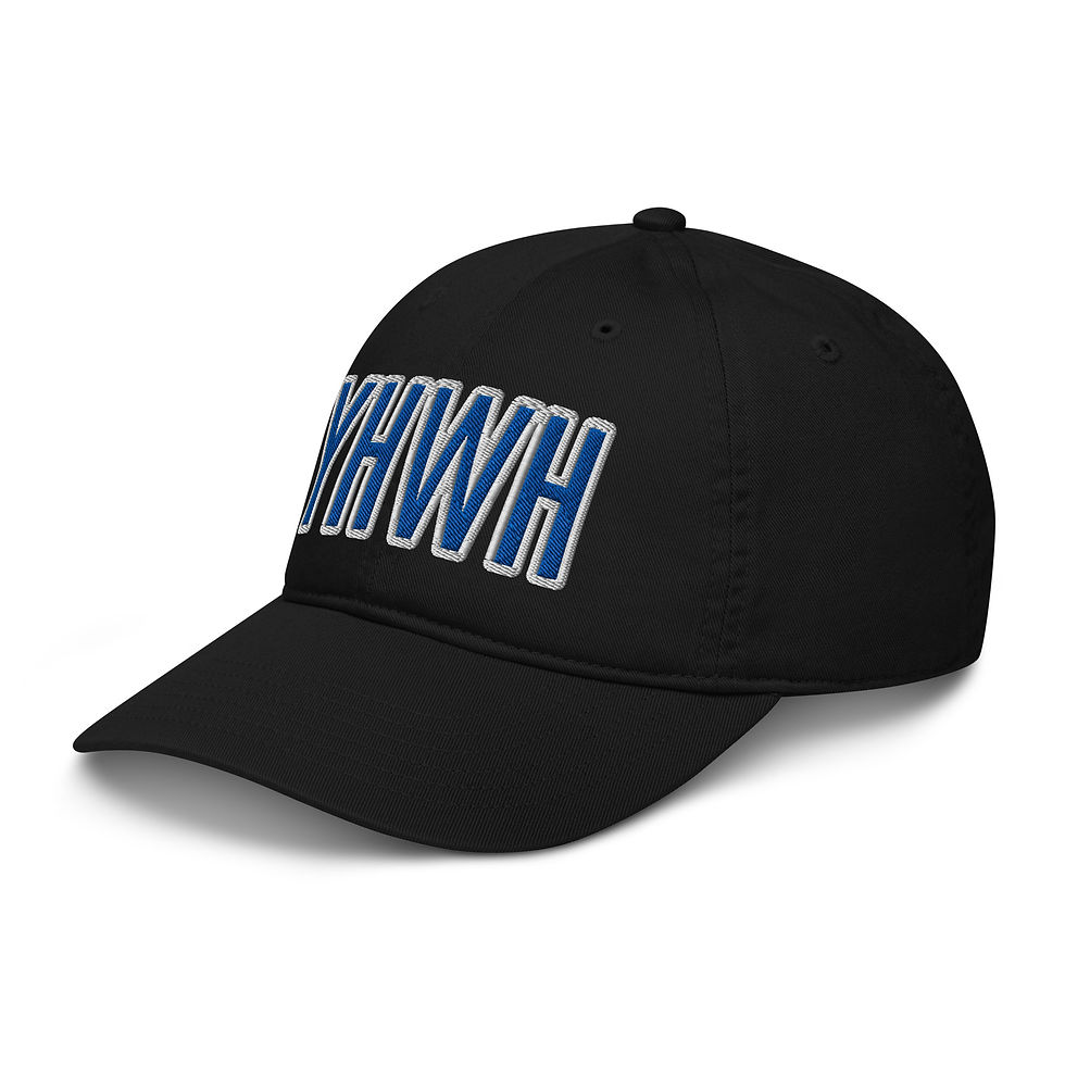 Thumbnail: YHWH FOREVER 3 Emboridered YHWH FOREVER Organic dad hat
