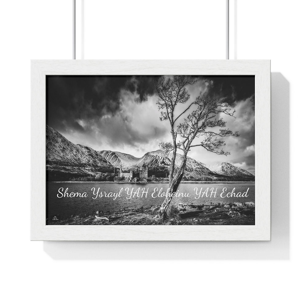 Thumbnail: The Classy Collection Shema Premium Framed Horizontal Poster