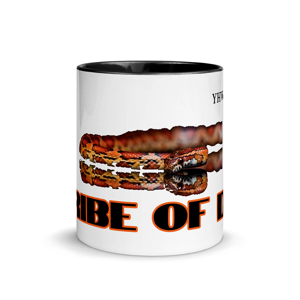 YHWH FOREVER Tribe Of Dan Mug with Color Inside