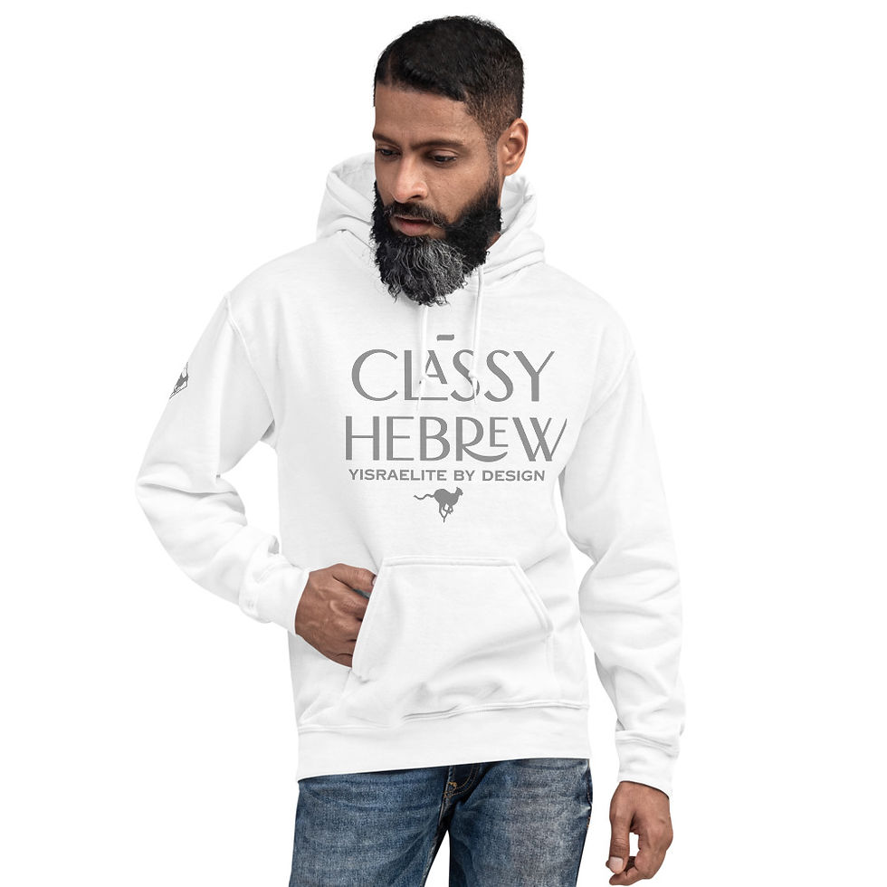 Thumbnail: YF3 The Classy Hebrew Yisraelite By Design Unisex Hoodie