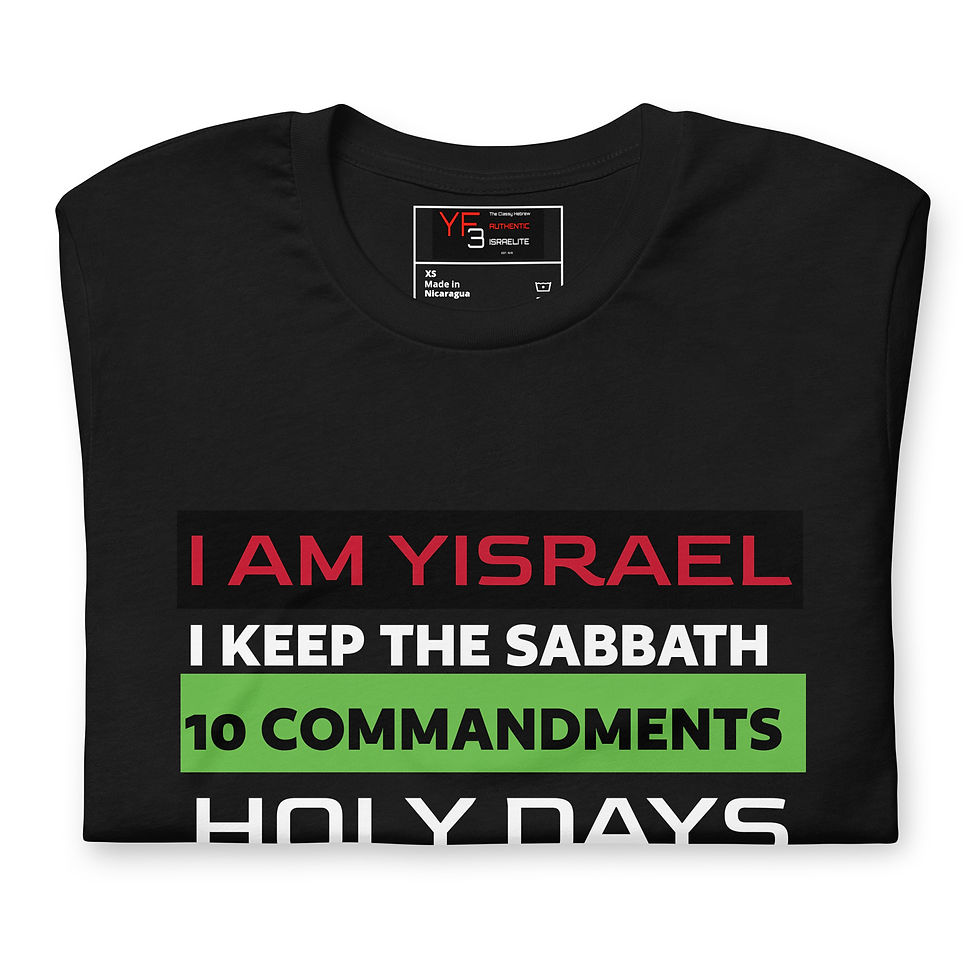 Thumbnail: YF3 The Classy Hebrew I AM YISRAEL Unisex t-shirt