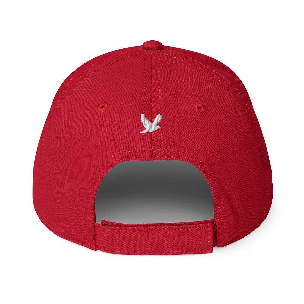 Thumbnail: YHWH FOREVER 3 365 Fear Not Low-profile baseball cap