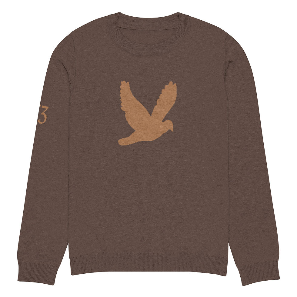 Thumbnail: YF3 YHWH FOREVER Dove Logo Soil Brown & Rust Knitted crew neck sweater