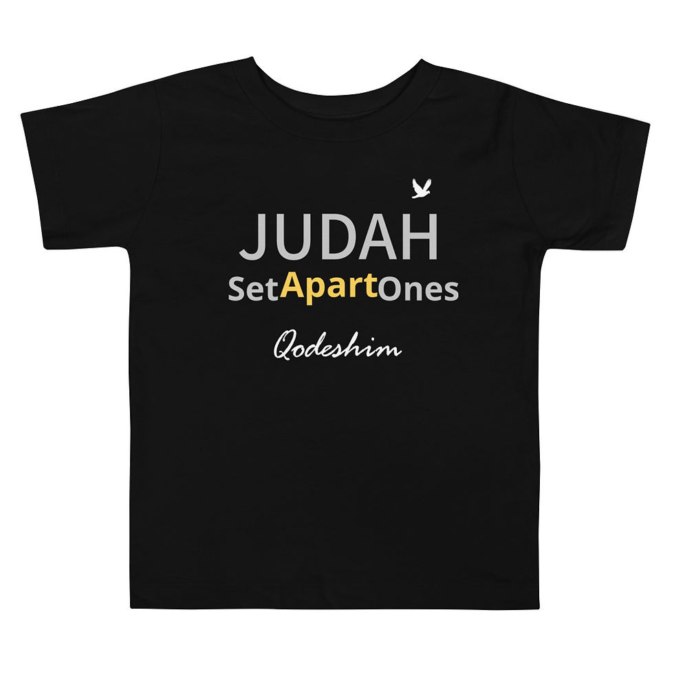 Thumbnail: YF3 The Classy Hebrew Qodeshim Toddler Short Sleeve Tee