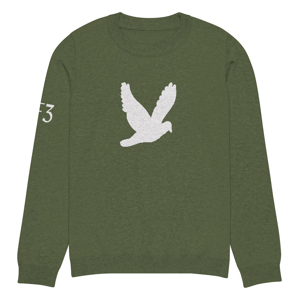 Thumbnail: YF3 YHWH FOREVER Dove Logo Olive Knitted crew neck sweater