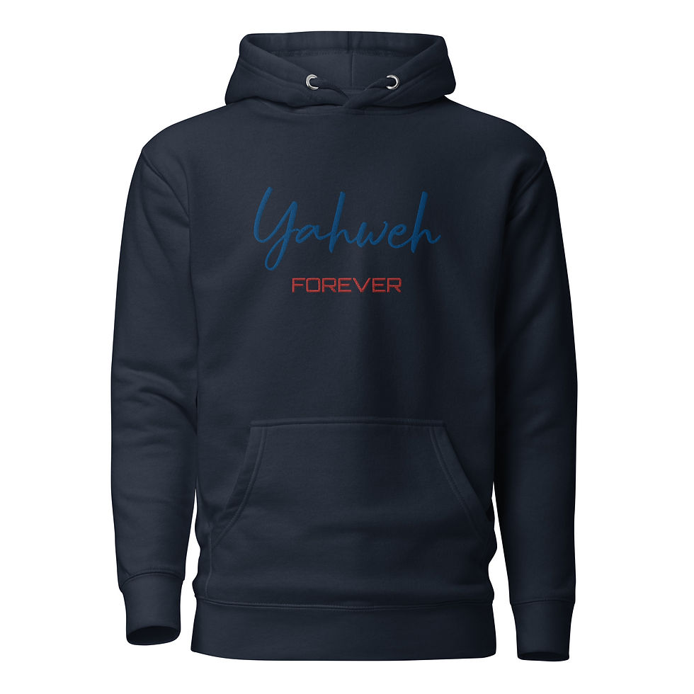 Thumbnail: YHWH FOREVER3 Embroidered Unisex Hoodie