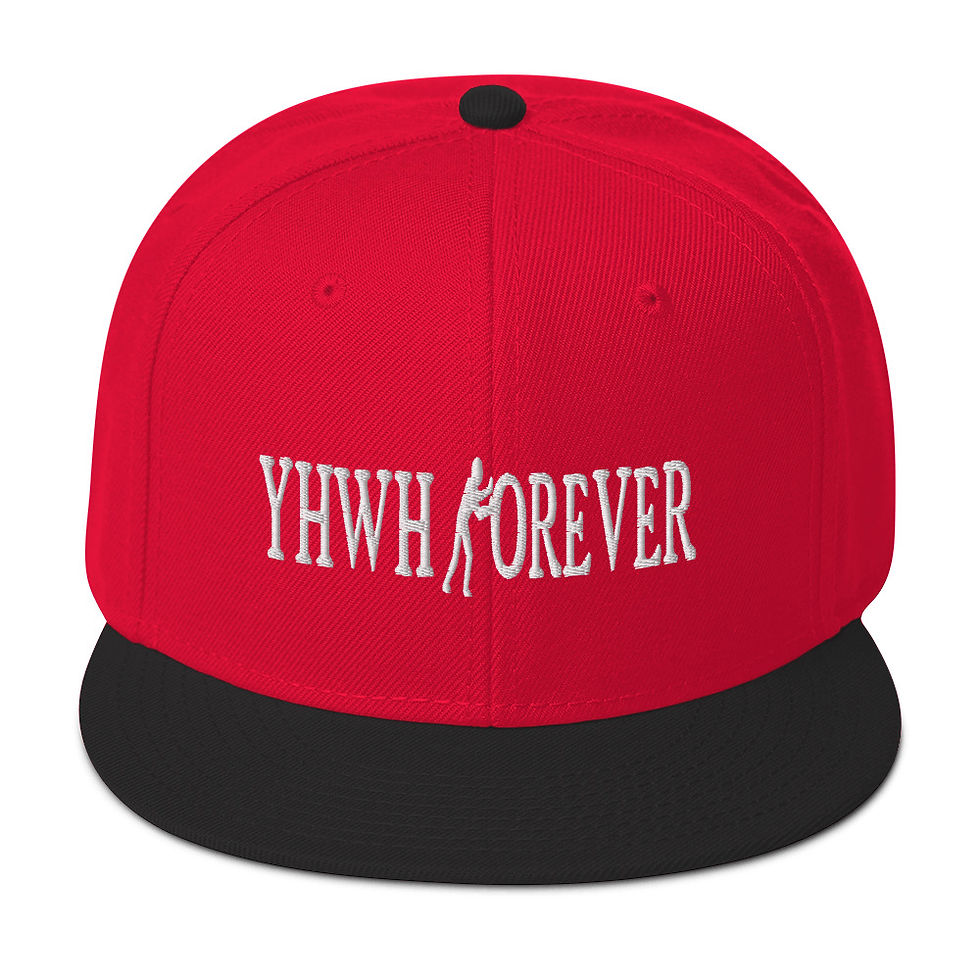 Thumbnail: YHWH FOREVER 3 Embroidered Snapback Hat
