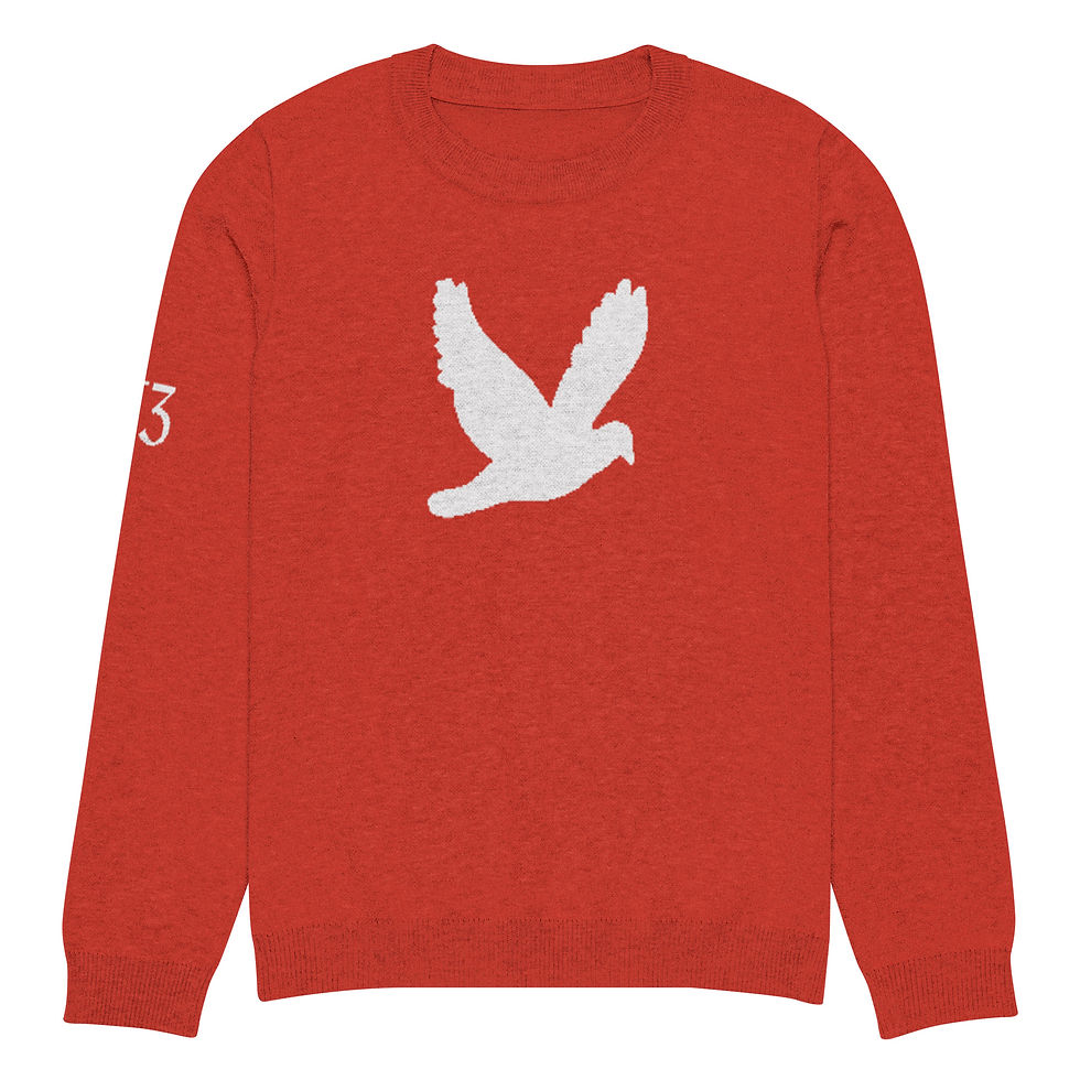 Thumbnail: YF3 YHWH FOREVER Dove Logo Red Knitted crew neck sweater