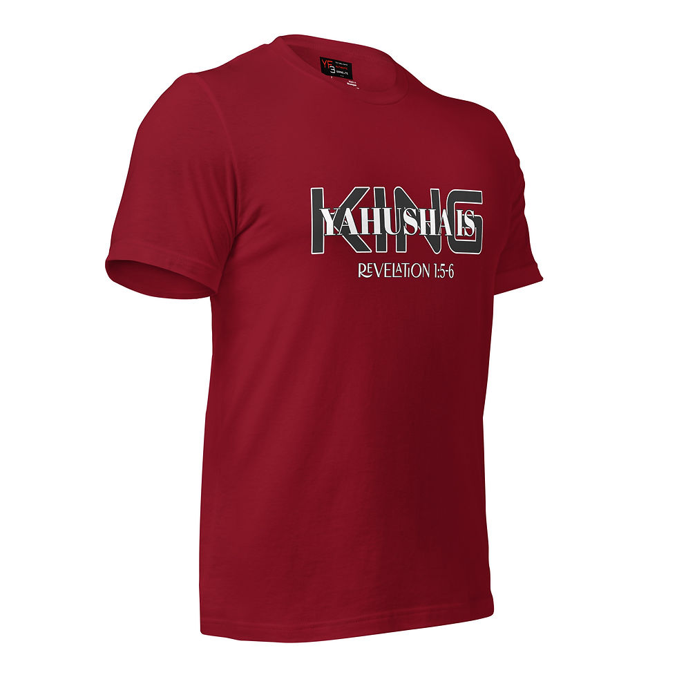 Thumbnail: YF3 The Classy Hebrew Yahusha Is King Unisex t-shirt