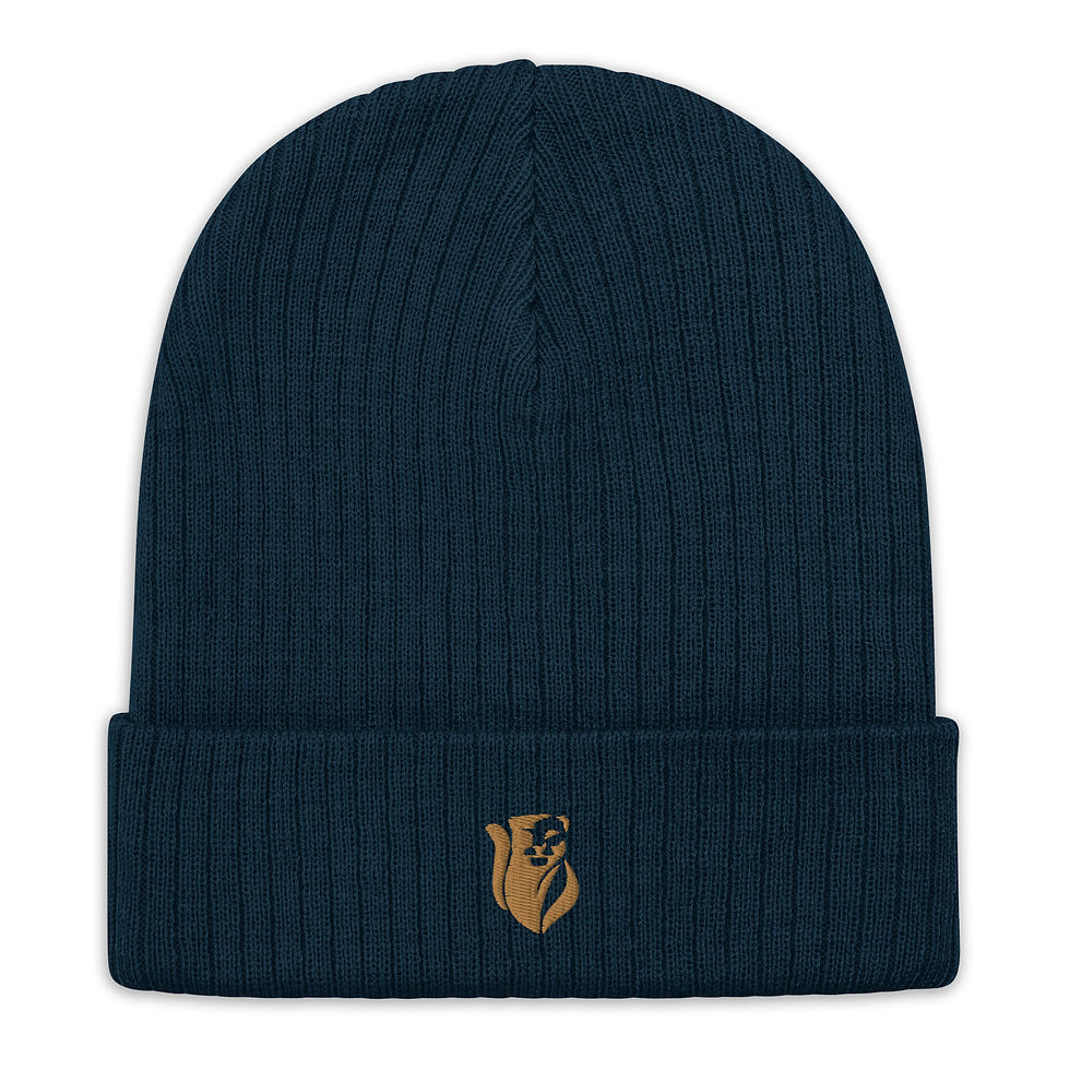 Thumbnail: Sworthe By Joseph Dowdy Embroidered Brown Logo Ribbed knit beanie