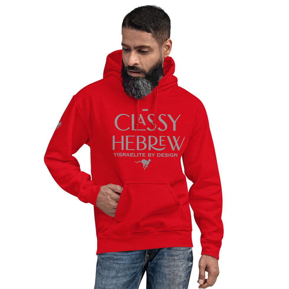 Thumbnail: YF3 The Classy Hebrew Yisraelite By Design Unisex Hoodie