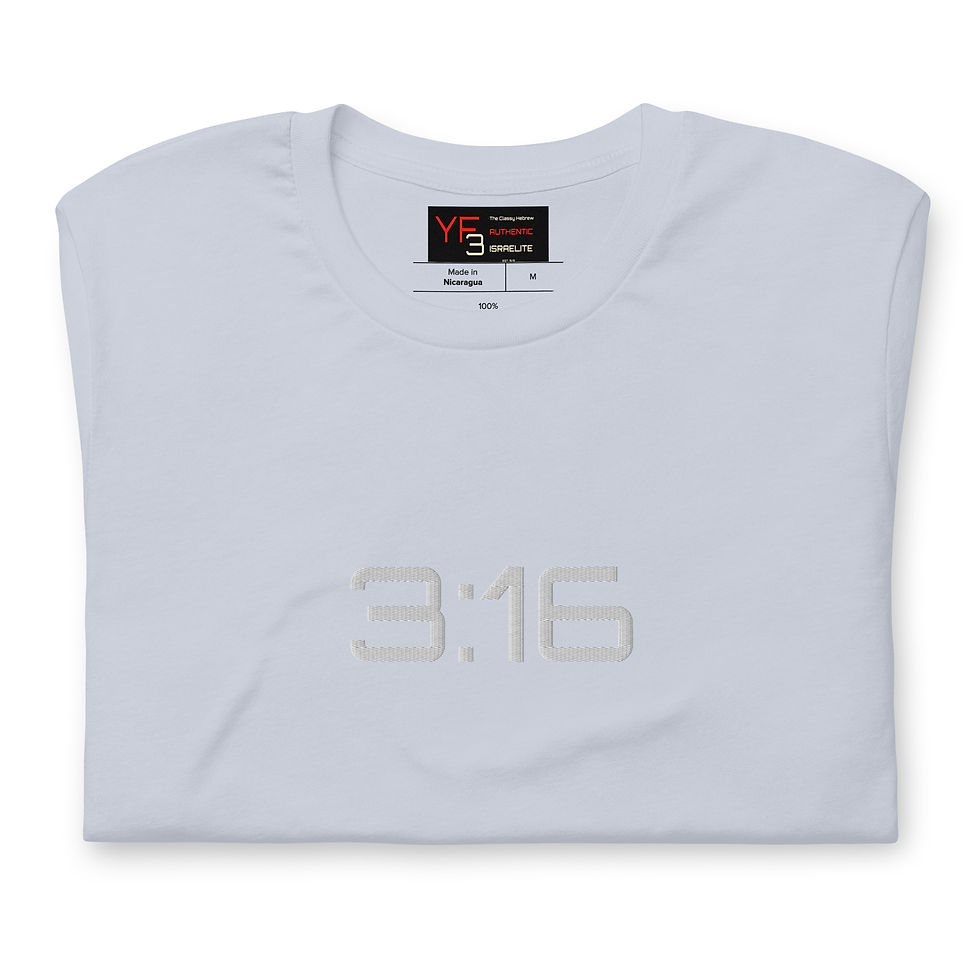 Thumbnail: YF3 3:16 Embroidered Unisex t-shirt