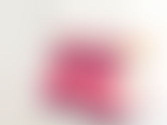 The Power of E-Book Bundles and Packages: Offering Value to Readers